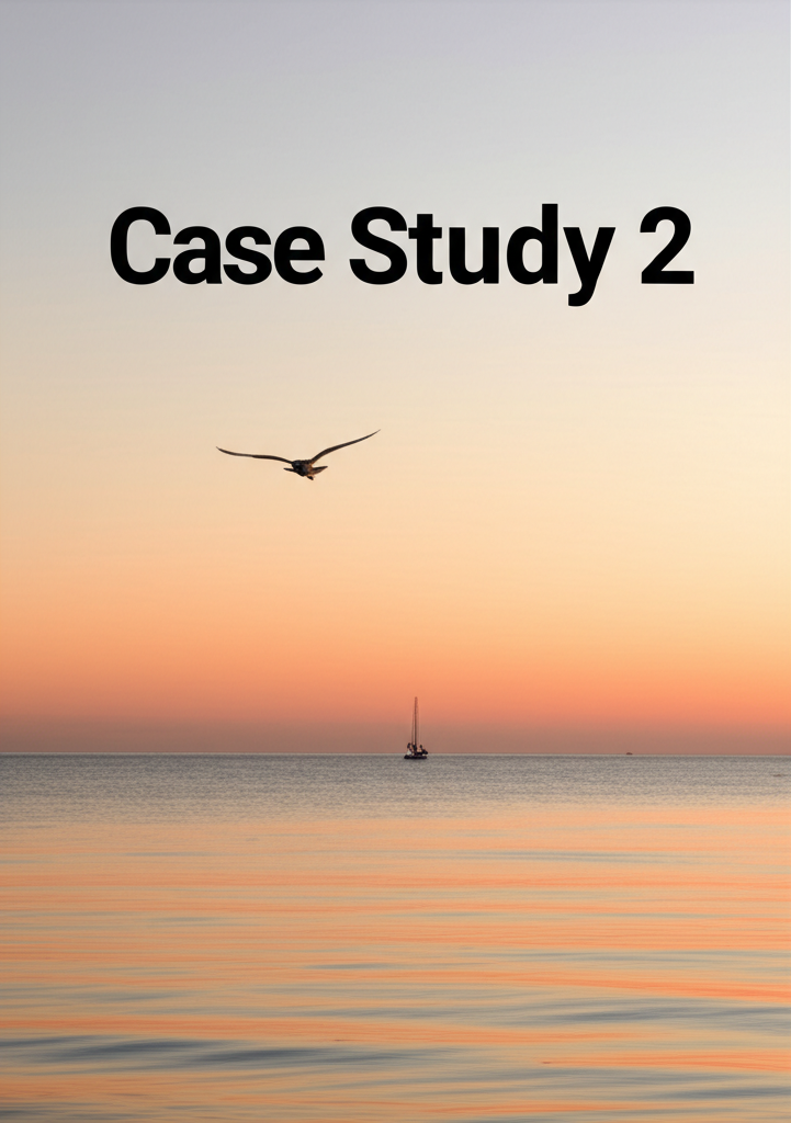 Rapid Finance case study